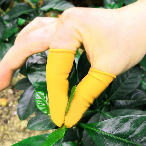 Finger Caps, Silicone Finger Protectors Sleeves (Finger Cots / 145 Pcs Set Approx) - asurekart.com