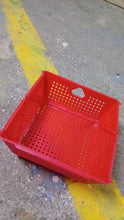 Flexi fold Storage Basket Box with Holes Ventilated Design (23×20 Cm / 1 Pc) - asurekart.com