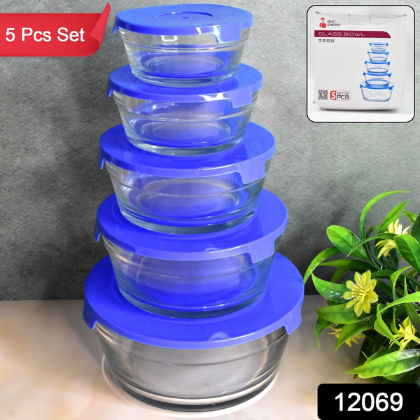 Modern Glass Bowl Set Mixing / Storage Bowls with Lids (5 Pcs Set) - asurekart.com